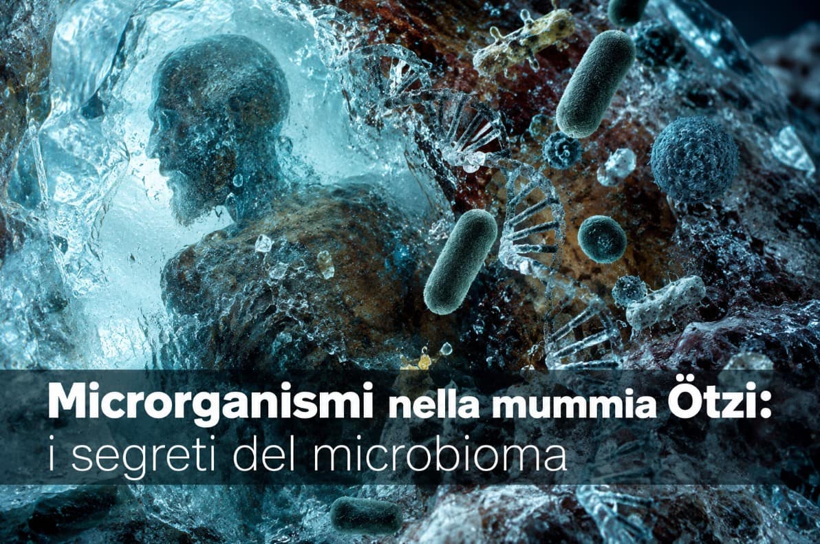Microrganismi nella mummia Ötzi: i segreti del microbioma